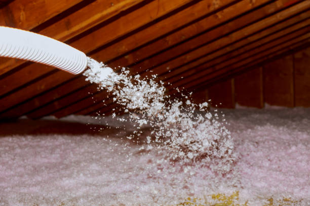 Insulation Replacement Services in South Riding, VA