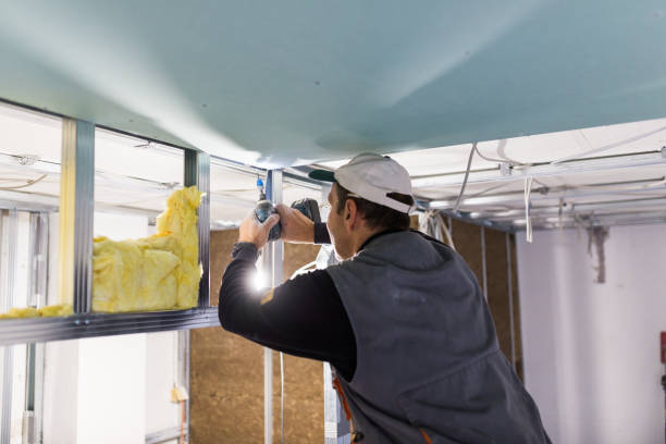 Best Residential Insulation Services  in South Riding, VA