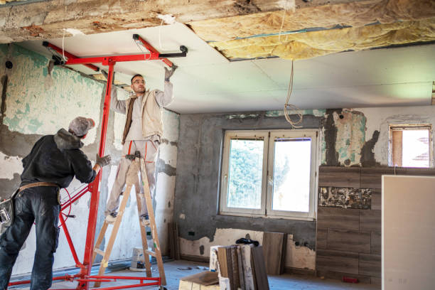 Best Professional Insulation Contractor  in South Riding, VA