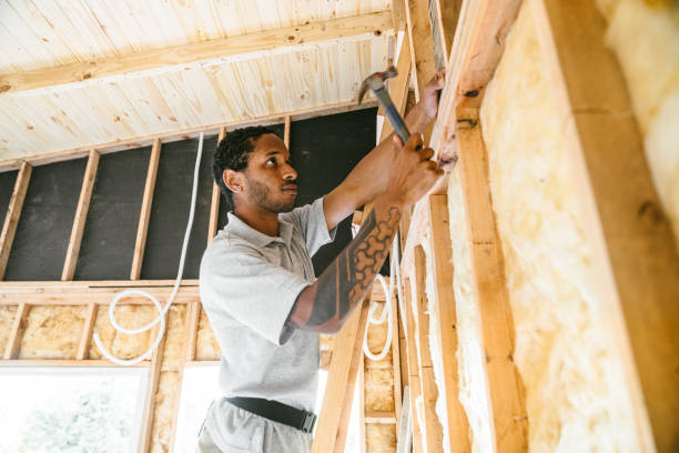 Best Insulation Removal  in South Riding, VA