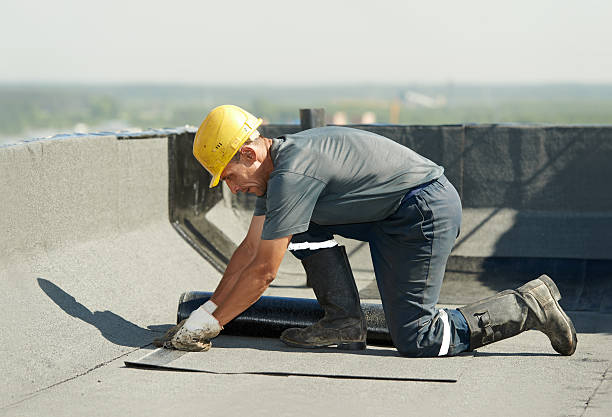 Best Crawl Space Insulation  in South Riding, VA